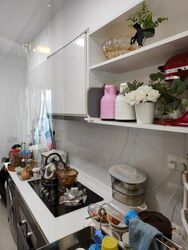 The Terrace (D19), Condominium #351619791